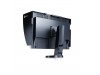 Монитор EIZO CG246-BK