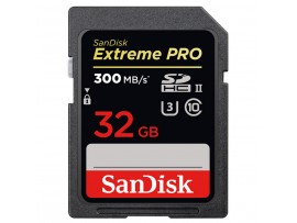 Карта памяти SANDISK 32GB SDHC class 10 UHS-I U3 (SDSDXPK-032G-GN4IN)