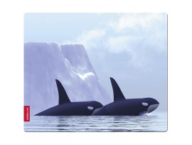 Коврик Speedlink SILK Mousepad, Orca (SL-6242-ORCA)